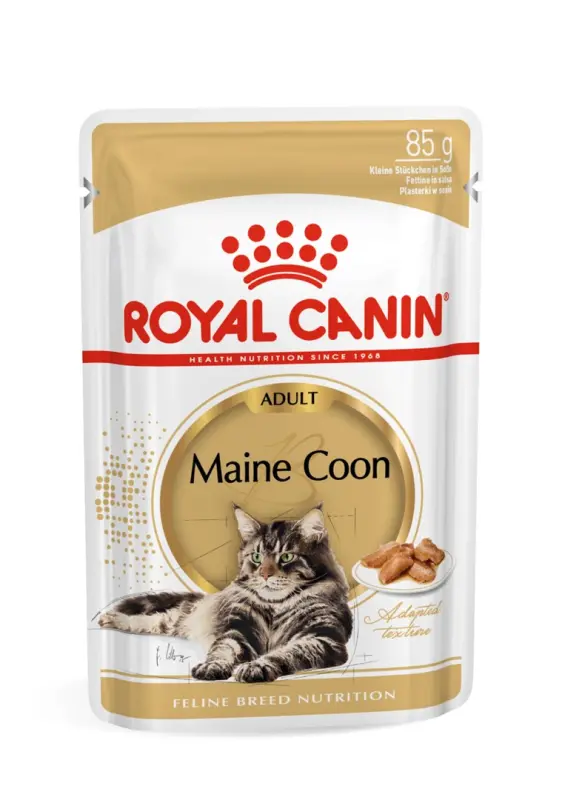 ROYAL CANIN FBN Maine Coon –