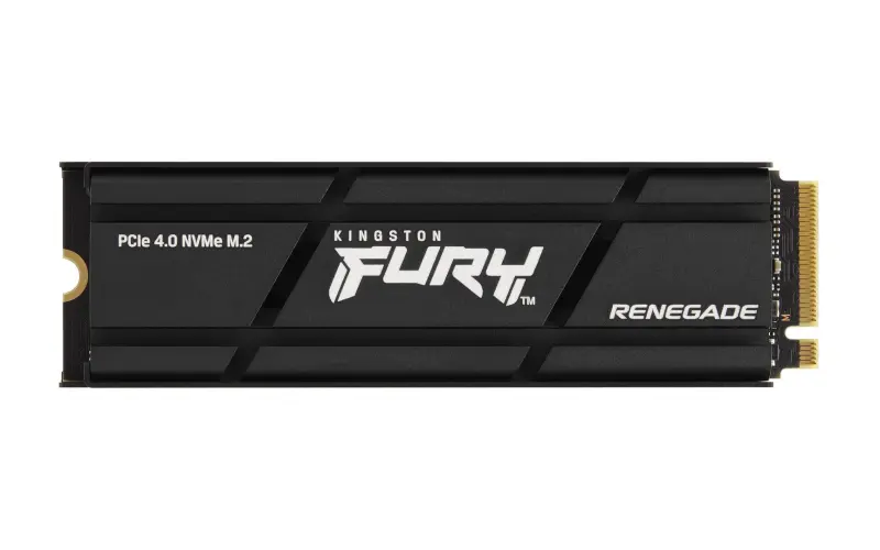 Kingston Technology 1000G RENEGADE PCIe 4