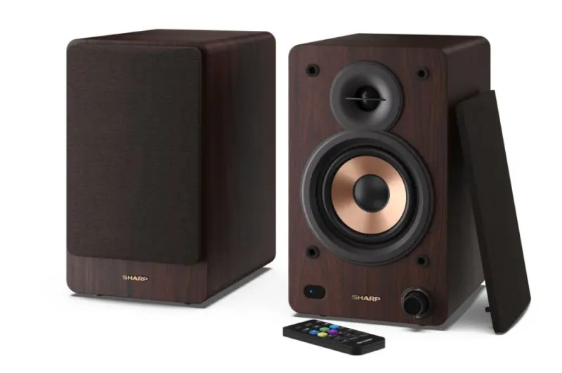 Sharp CP-SS30 Bookshelf Speakers, Brown -