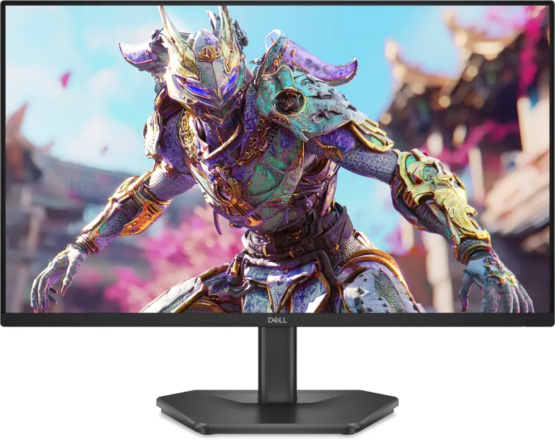 Dell monitors SE2426HG (210-BTTF) - 210-BTTF