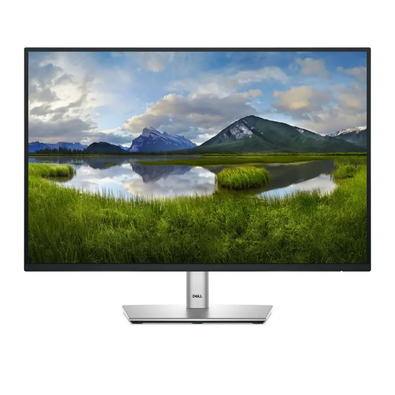 DELL P Series P2425 datora monitors