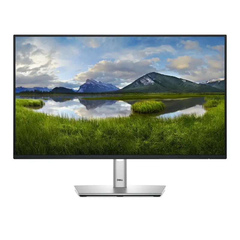 DELL P Series P2425HE datora monitors