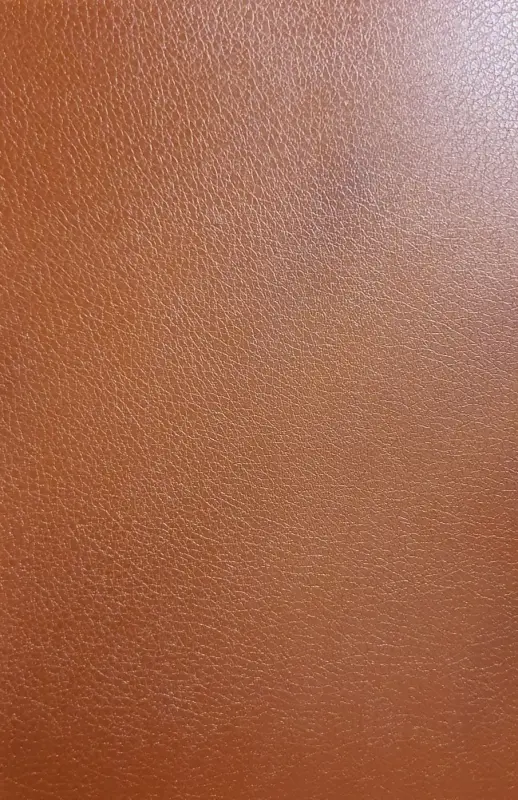 Evelatus Universal Leather Film for Screen