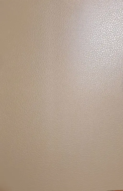 Evelatus Universal Leather Film for Screen