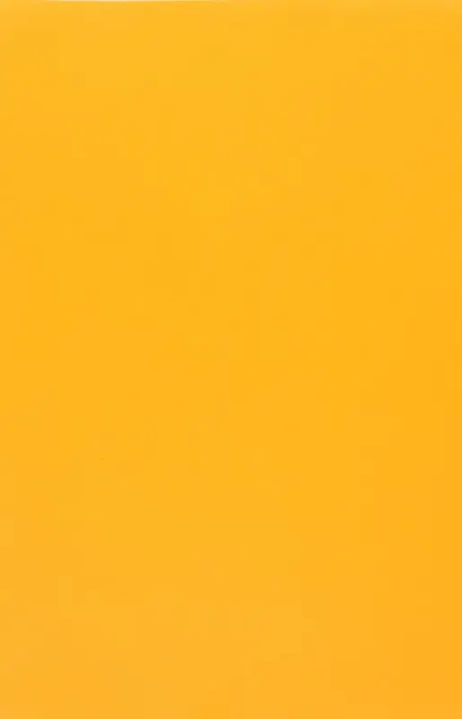 Evelatus Universal 3M Universal Matte Color