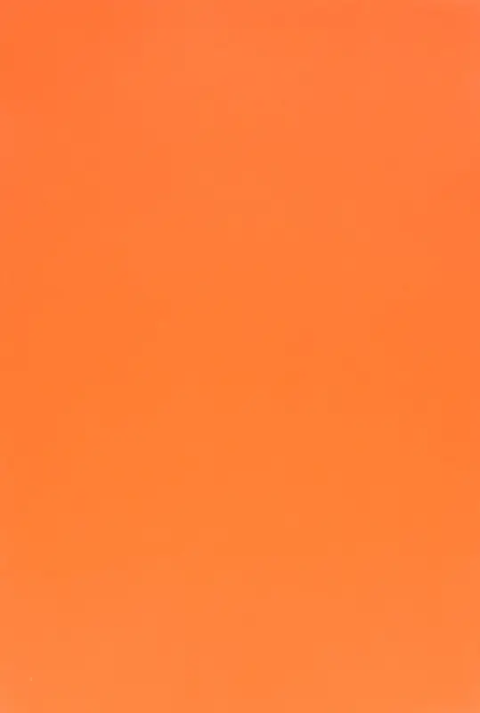 Evelatus Universal Universal 3M Matte Color