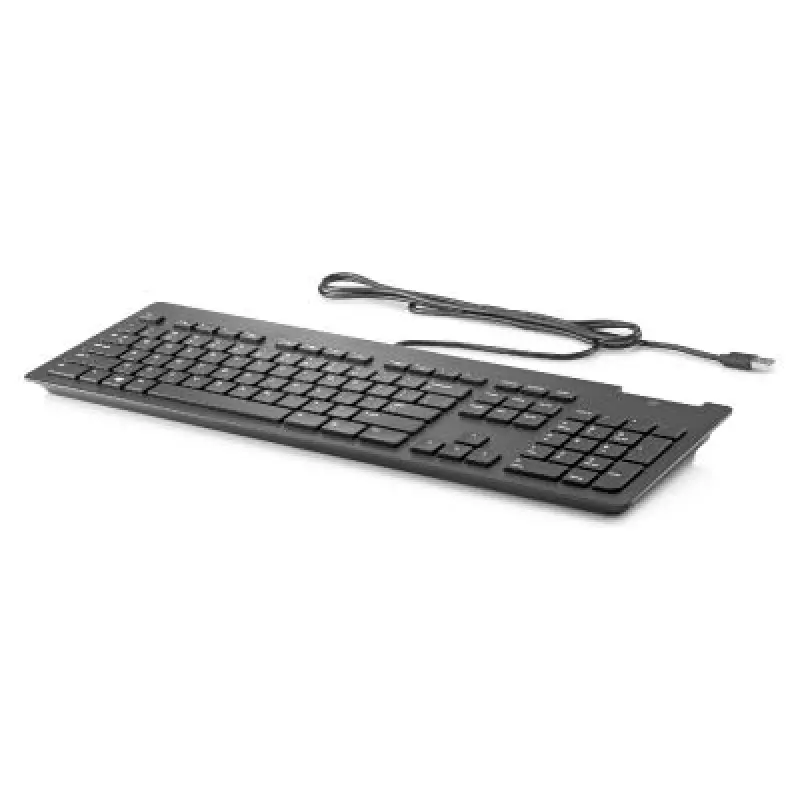 HP HP Slim USB Wired Keyboard
