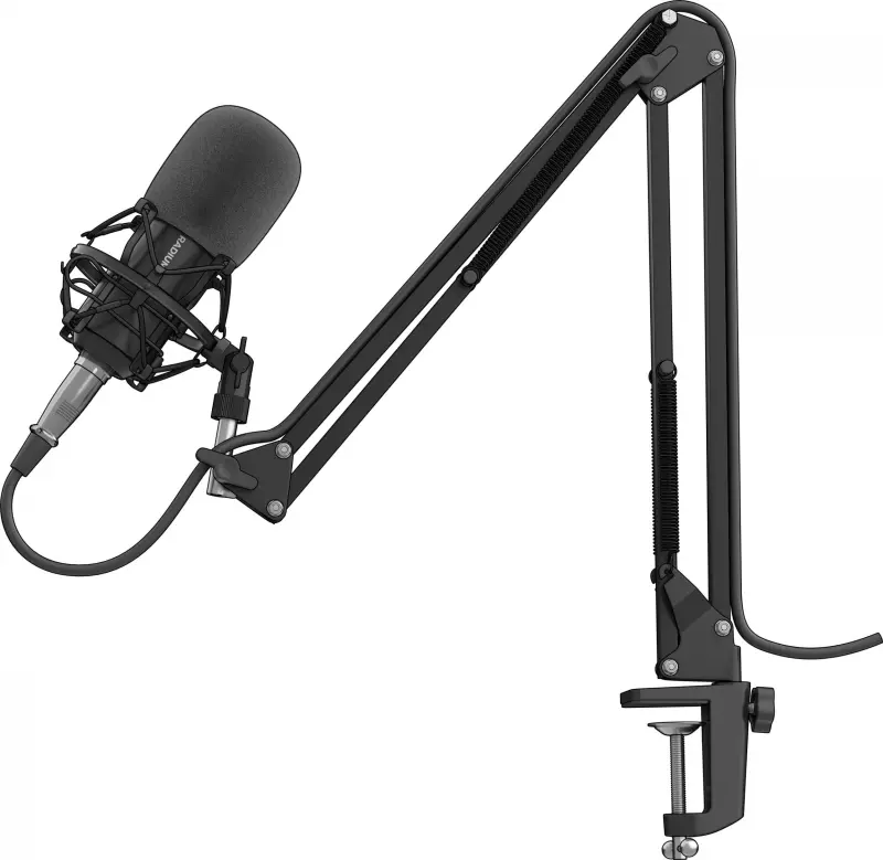 Genesis Radium 300 XLR Mikrofons ar
