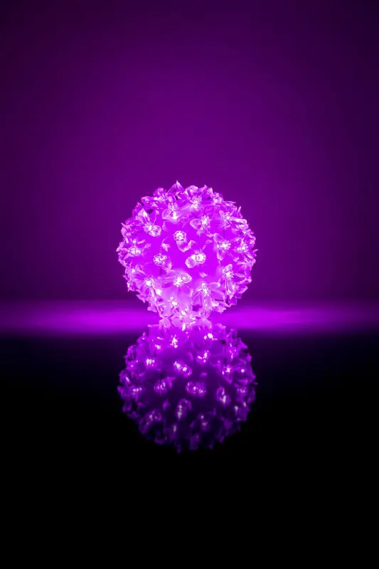 N/A Bumba ar puķēm RS-208 50LED