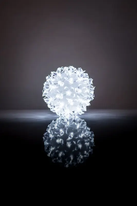 N/A Bumba ar puķēm RS-208 50LED