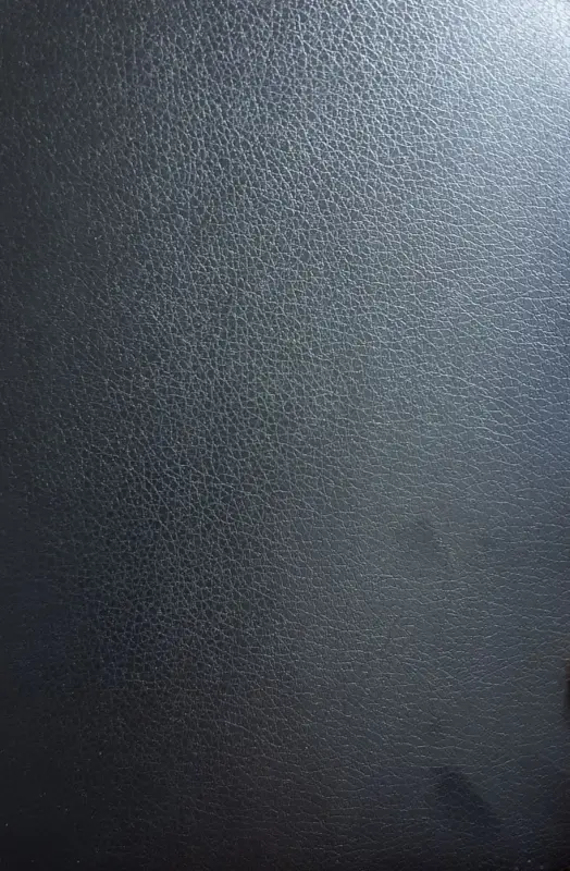 Evelatus Universal Leather Film for Screen