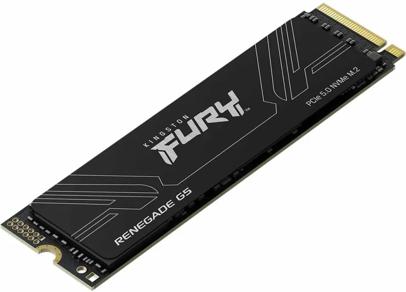 Kingston Fury Renegade G5 M.2