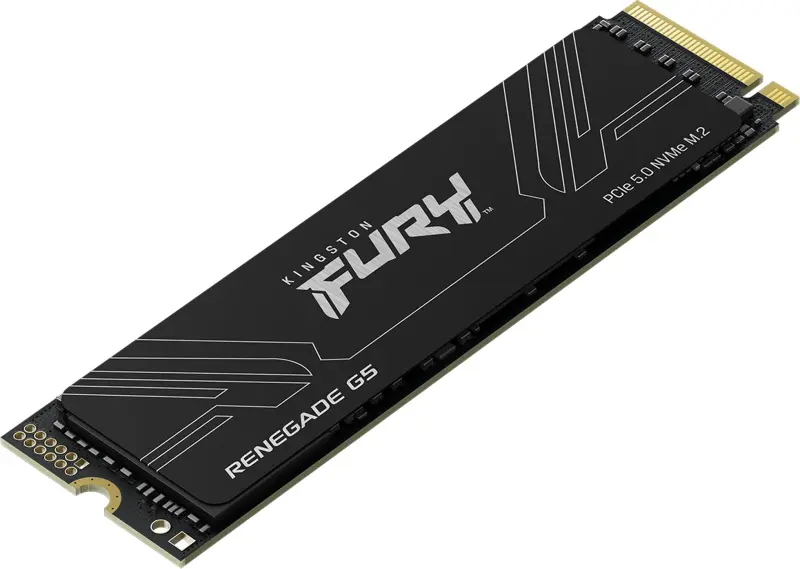 Kingston Fury Renegade G5 M.2