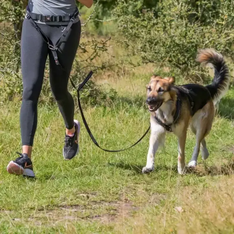 Skriemeļa virves vadība: Trixie jostas josta