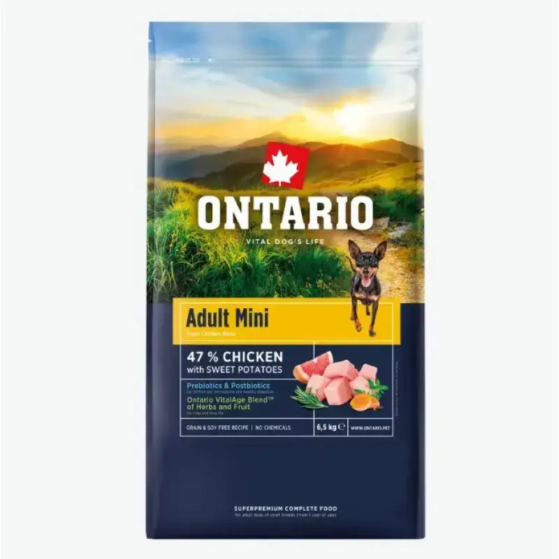 Sauss, sausa barība suņiem - Ontario