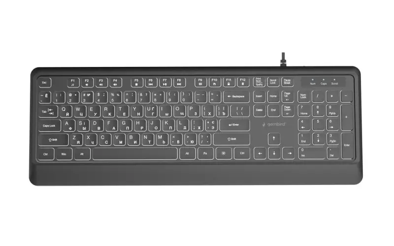 Klaviatūra Gembird Slim Backlight USB-A+C RU