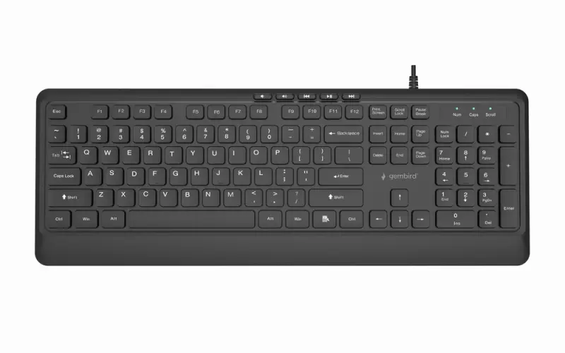 Klaviatūra Gembird Slim Multimedia USB-A+C US