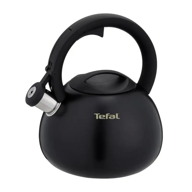 Czajnik nieelektryczny TEFAL N4180410 - AGDTEFCZN0003