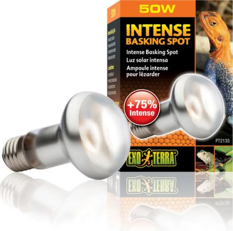 Hagen EXOTERRA INTENSE SPOT 50W spuldze