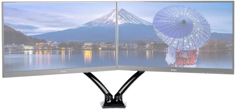 Iiyama DS3002C-B1 divu ekrānu monitors -