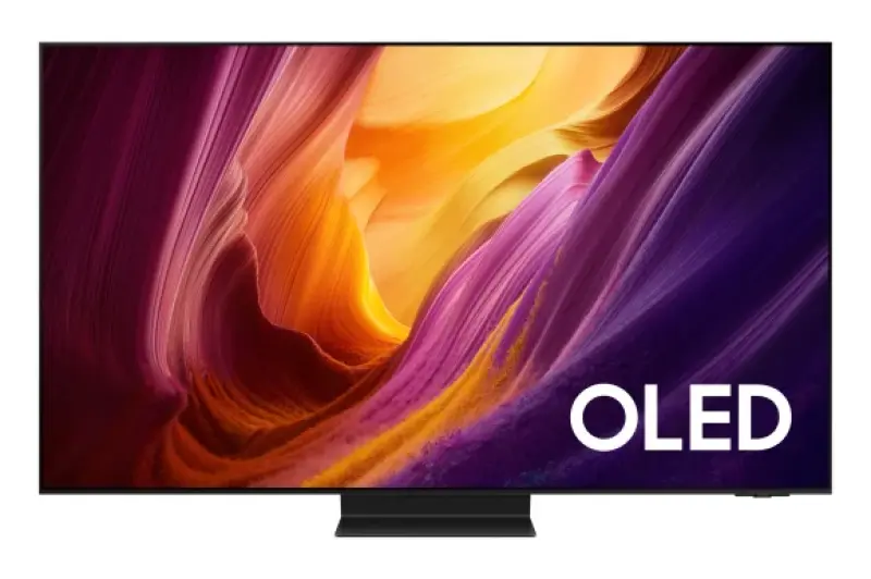 SAMSUNG QE65S95HFTXXH - 8806099138172