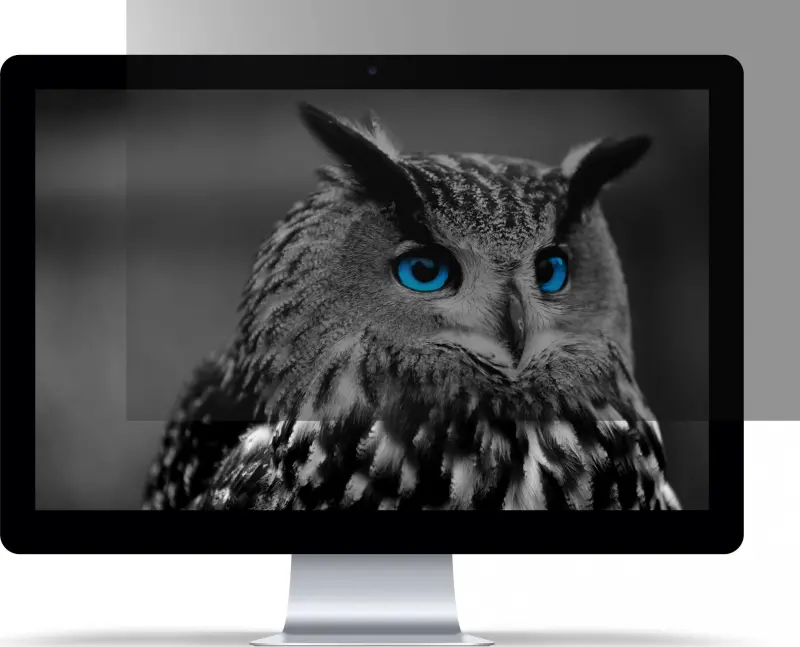 Natec Owl 13,3" 16:9 (293