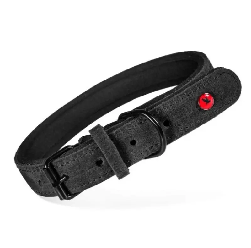ZOLUX Komfort Leather, black color –