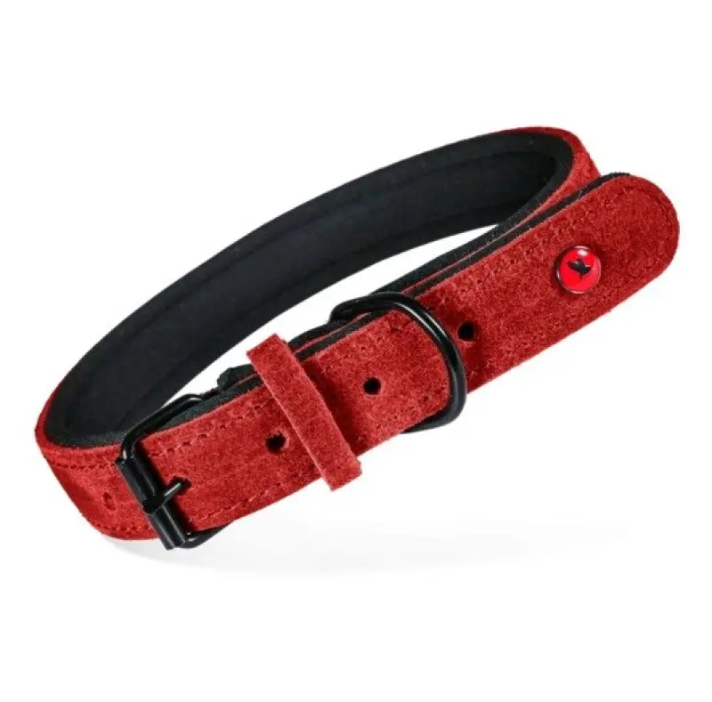 ZOLUX Komfort Leather, red color –