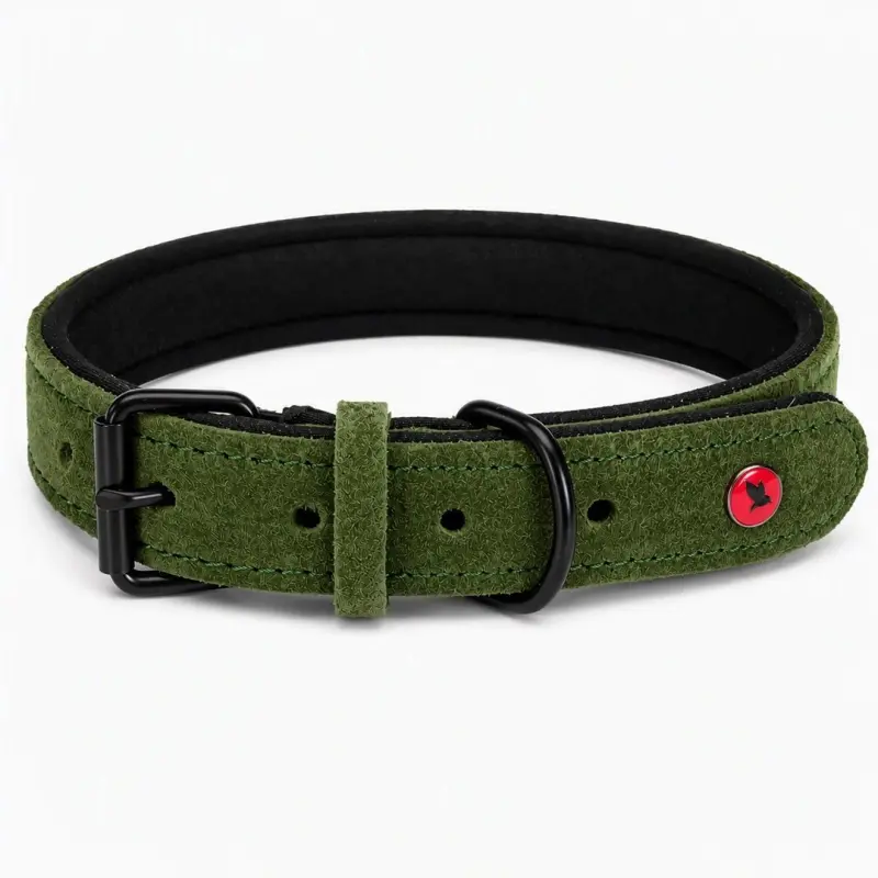 ZOLUX Komfort Leather, green color –